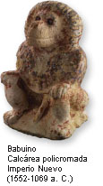 Babuino Calcárea policromada